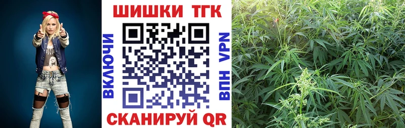 Продажа наркотиков Карасук Бошки Шишки  Псилоцибиновые грибы  ГАШ  A PVP 