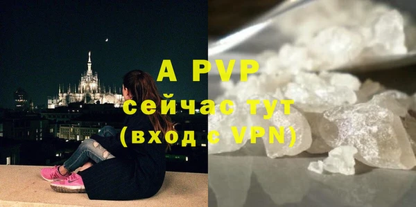 стаф Заволжье