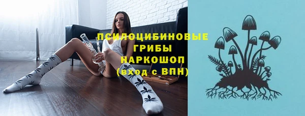 молекула духа Заводоуковск