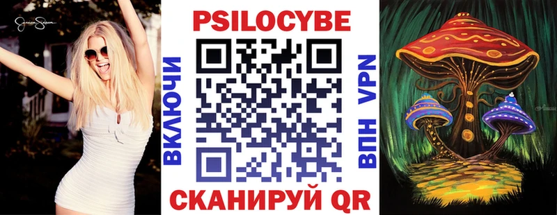 наркота  Карасук  Галлюциногенные грибы мицелий 